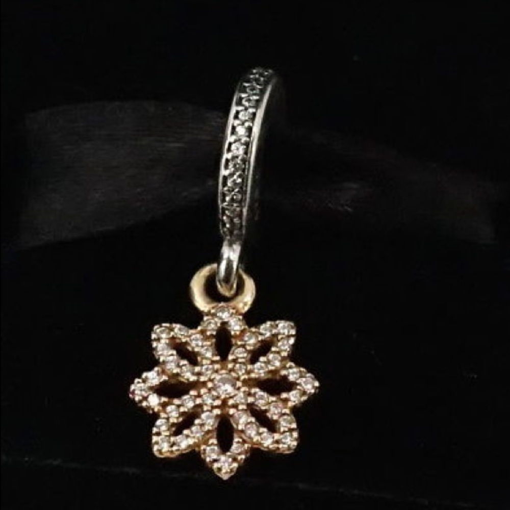 Pandora Charm / Pendent